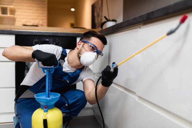  Wmette, IL Pest Control Pros
