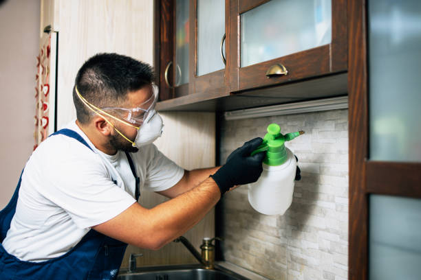 Best Residential Pest Control  in Wmette, IL