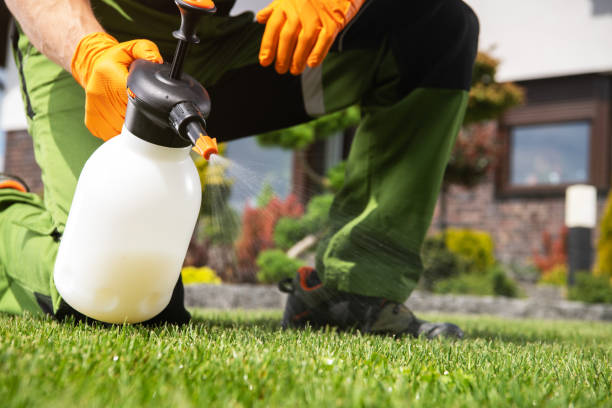 Best Local Pest Control Services  in Wmette, IL
