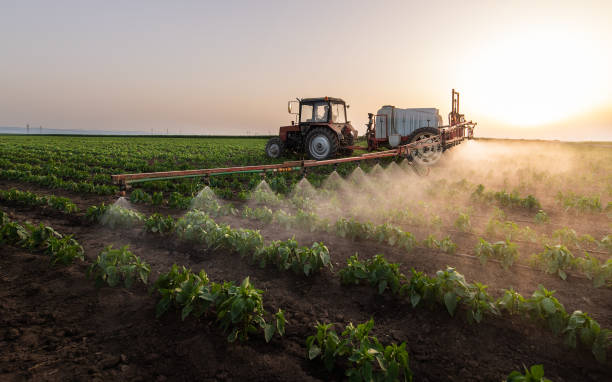 Best Pest Control Near Me  in Wmette, IL