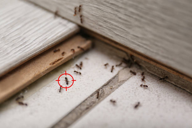 Wilmette, IL Pest Control Company