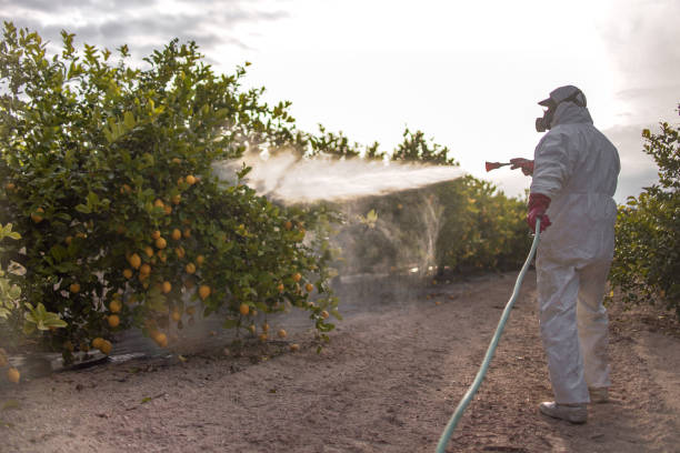 Best Local Pest Control Services  in Wmette, IL