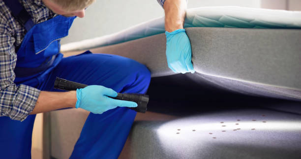 Best Residential Pest Control  in Wmette, IL