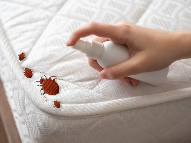 Best Best Pest Control Companies  in Wmette, IL