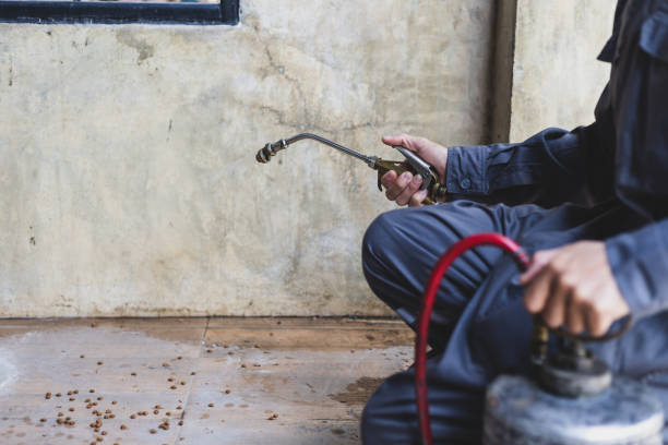Best Emergency Pest Control  in Wmette, IL