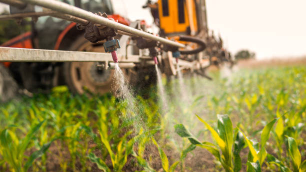 Best Wildlife Control Services  in Wmette, IL