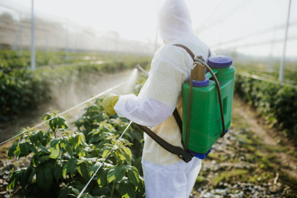 Best Exterminator Services  in Wmette, IL